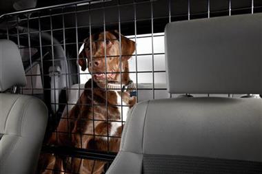 dog gate for jeep